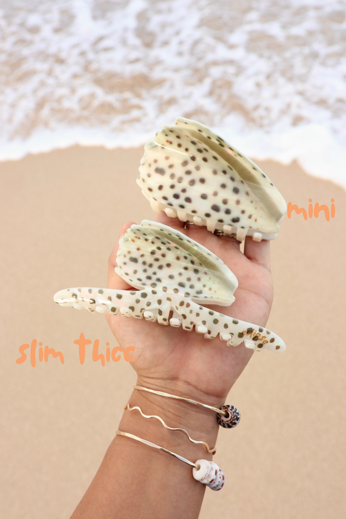 Cone Shell Set