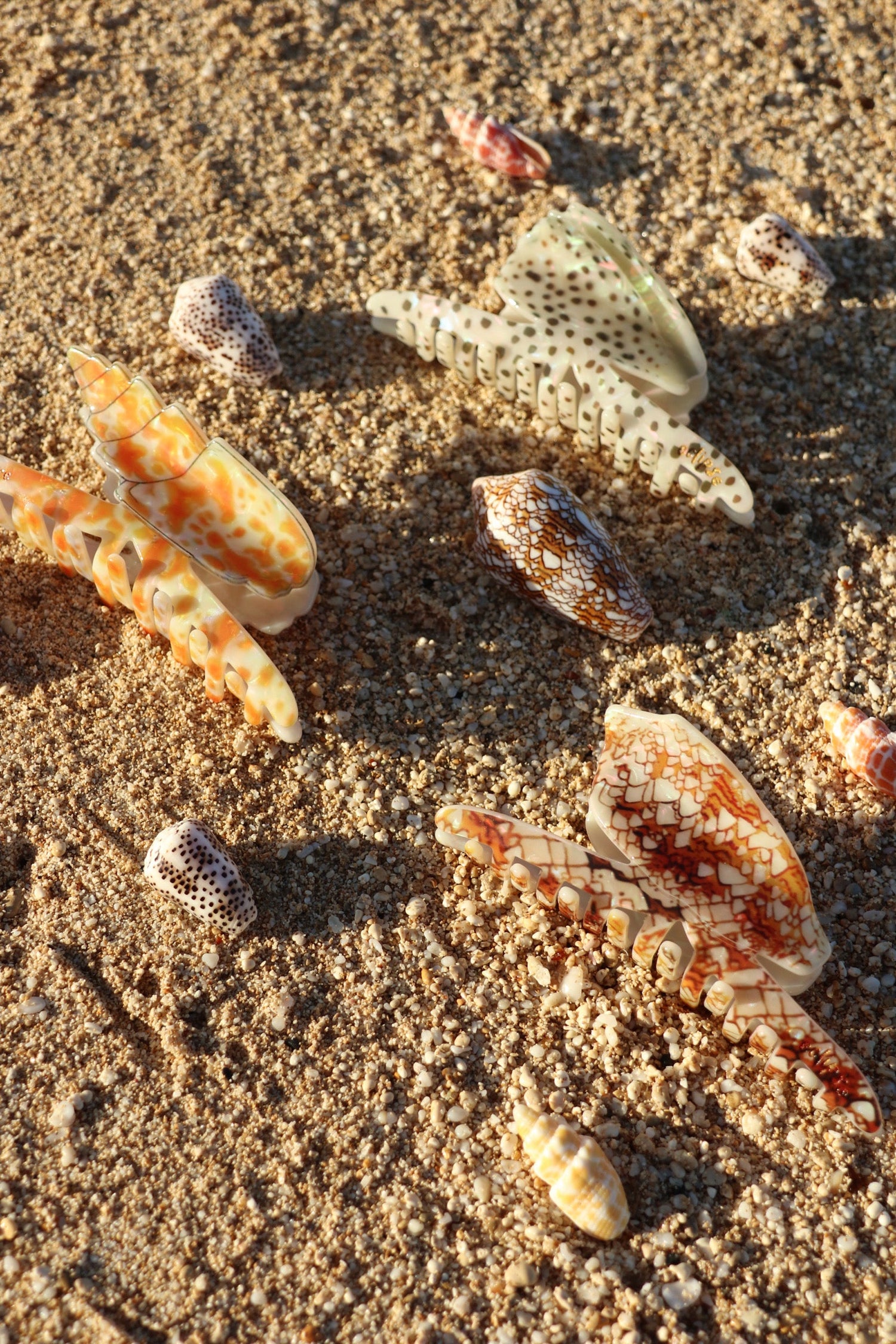 Treasure Hawaii 2.0 Collection